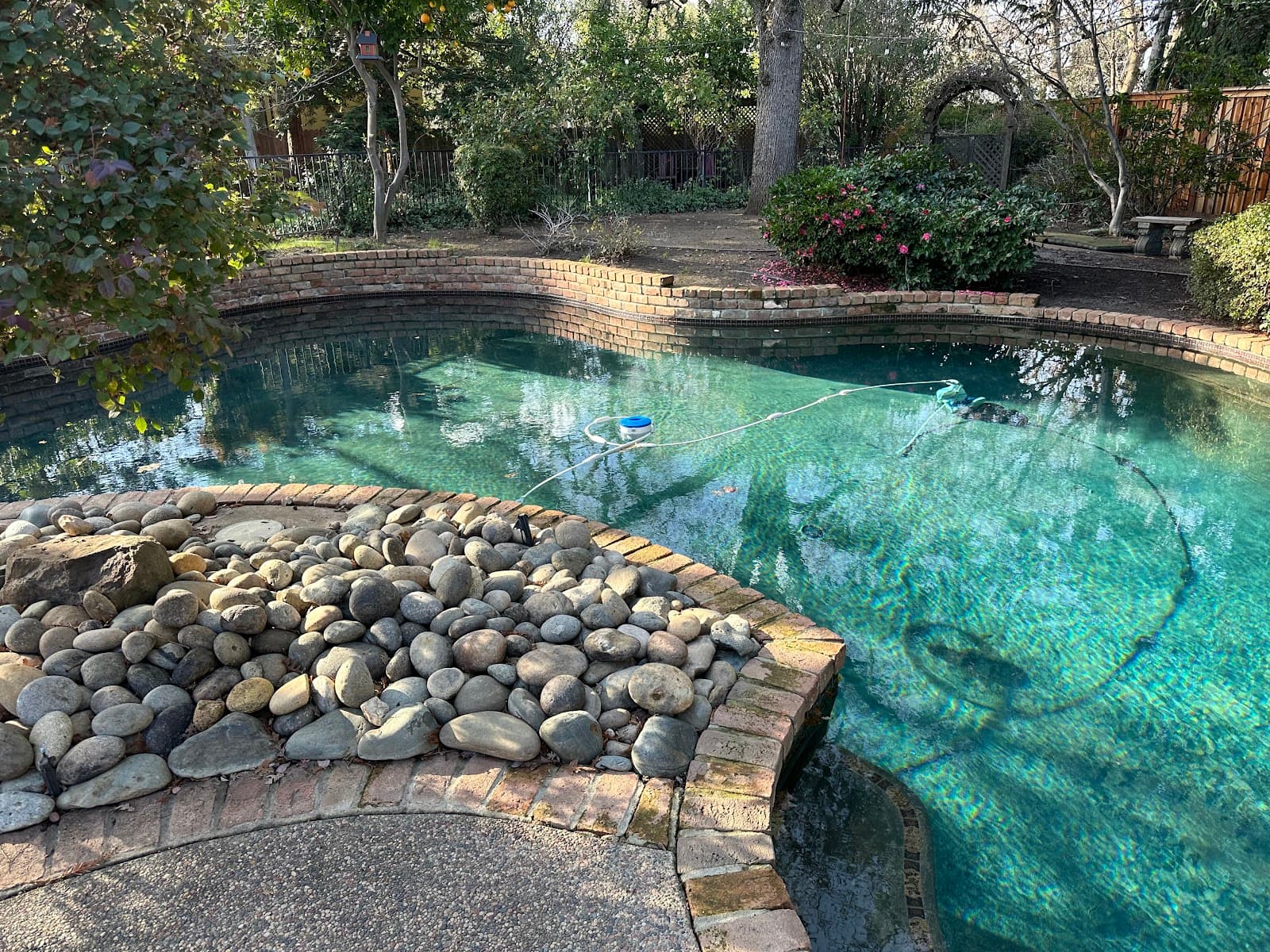 Weekly Pool Cleaning photo 1